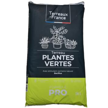 image TERREAU PLANTE VERTE 20L